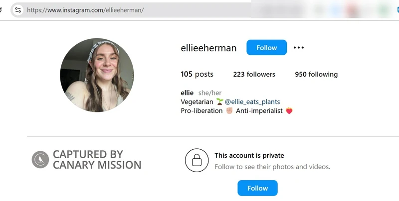 2024-12-08_23-41-50.jpg_#7