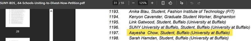 Aayesha_Chow__jan_15_2024_amchainitiative.org.png _#1