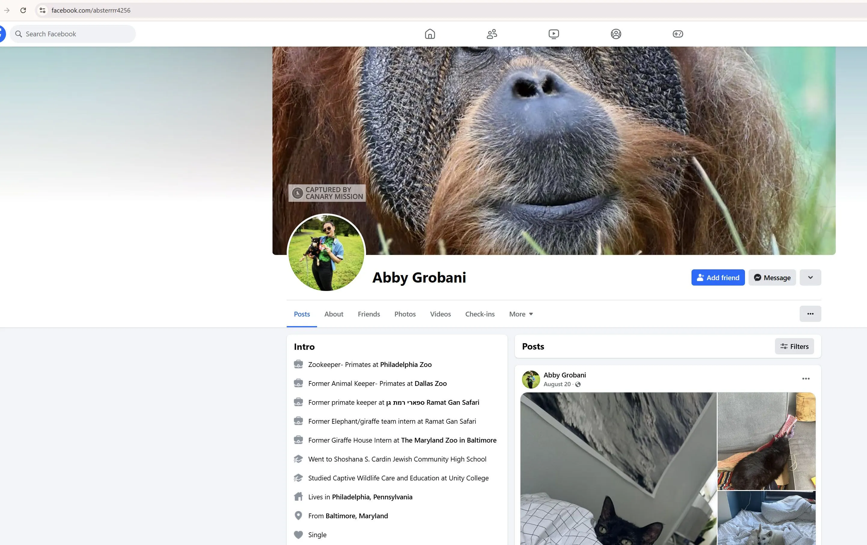 Abby Grobani  - gallery/Abby - Invalid Date