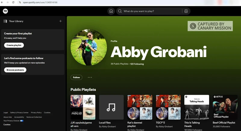 Abby Grobani cm04 open.spotify.com_#4