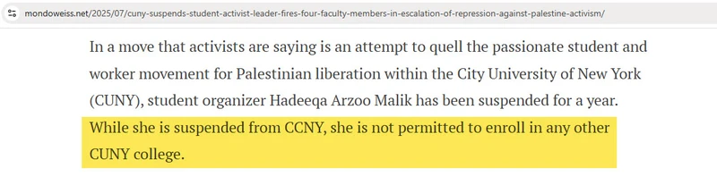 Added_Hadeeqa_Jul_10_2025_mondoweiss.net_2_#32