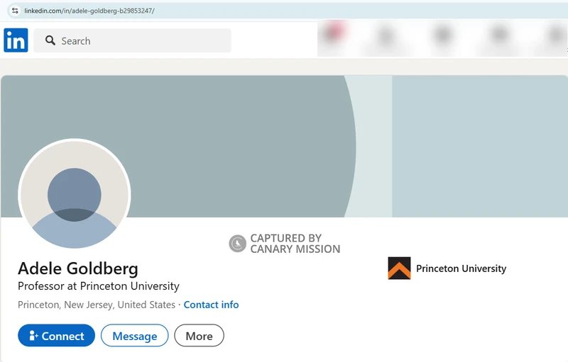 Adele_Goldberg_LinkedIn.jpg _#10