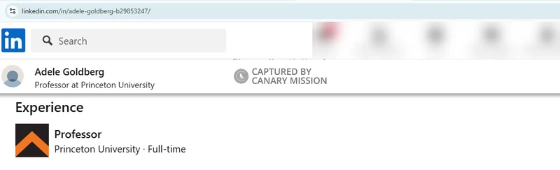 Adele_Goldberg_LinkedIn_1.jpg _#11