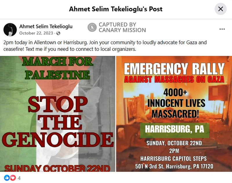 Ahmet Selim Tekelioglu_#3