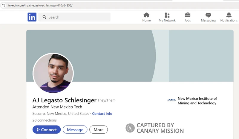 Alexander_Schlesinger_Jun_10_2025_Linkedin_1_#3