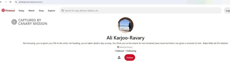 Ali Karjoo-Ravary cm11 Pinterest_#11