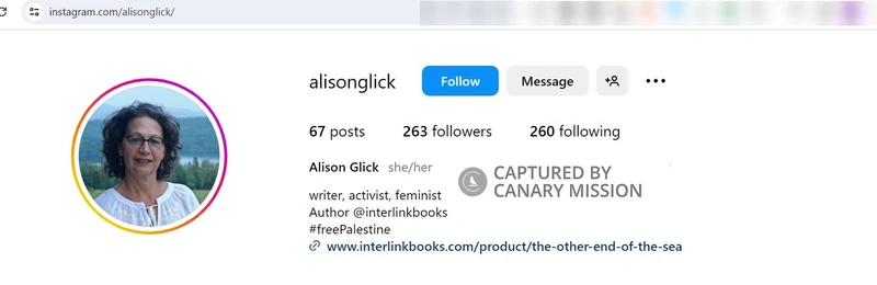 Alison Glick cm16 Instagram_#17