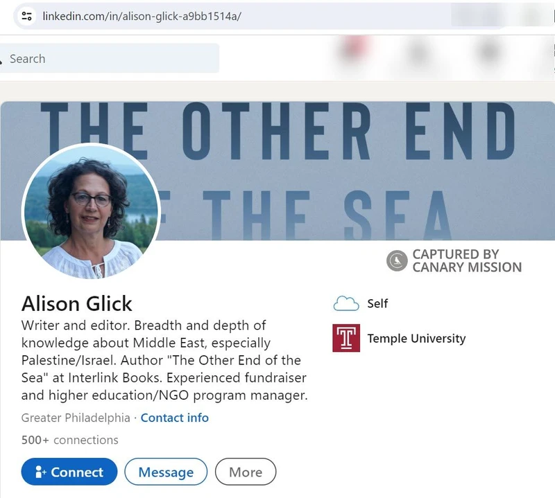 Alison Glick cm17 LinkedIn_#18