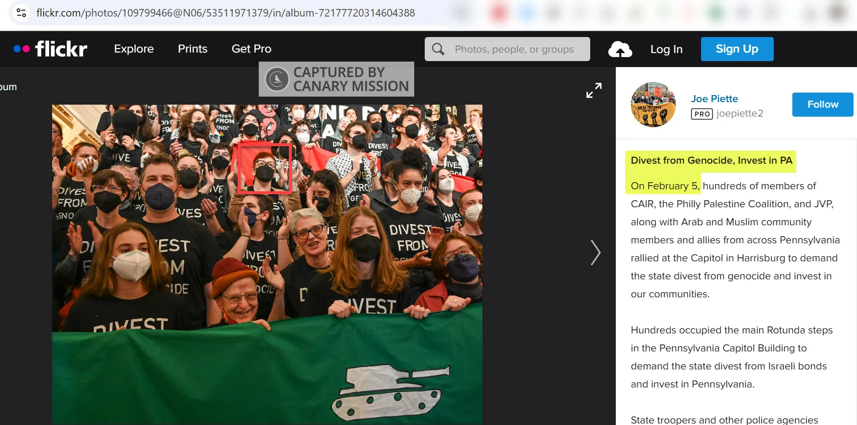 Snag_905ab35.png