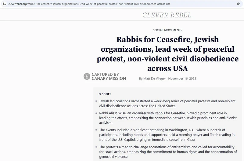 Alissa Wise cm04b cleverrebel.org_#15