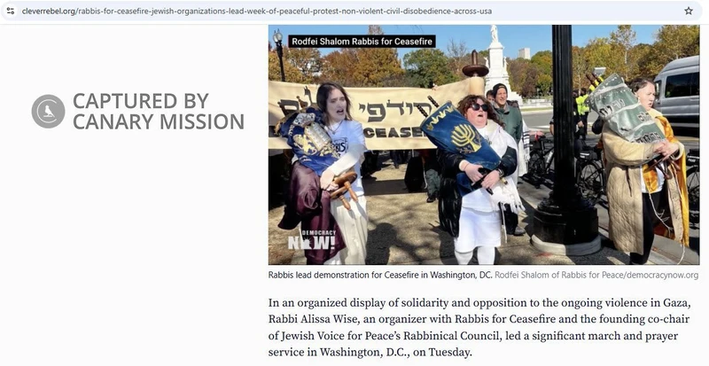 Alissa Wise cm04c cleverrebel.org_#16