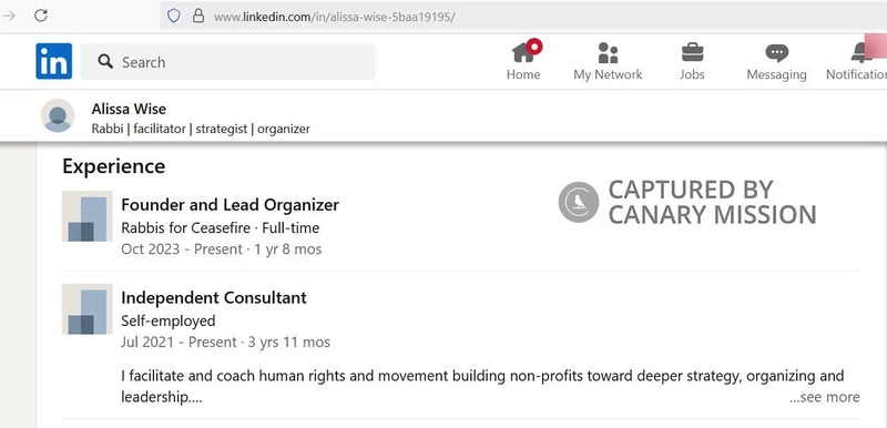 Alissa Wise cm68b LinkedIn_#84