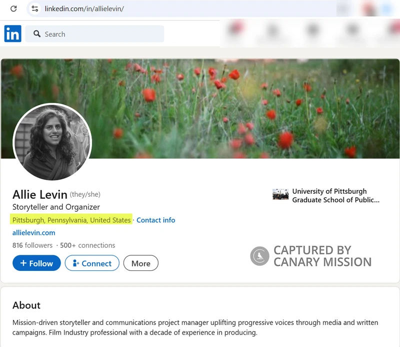 Allie_Levin_Jan_15_2025_LinkedIn_#2