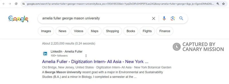 Amelia Fuller cm06 google.com_#13