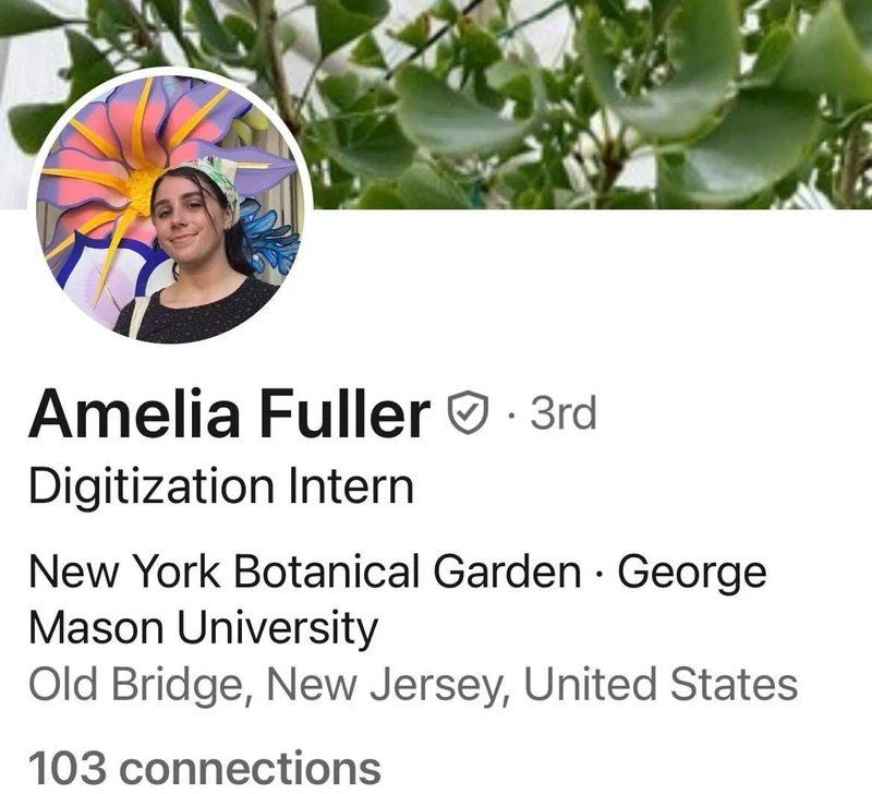 Amelia Fuller cm06a LinkedIn_#14