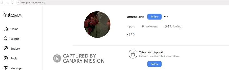 Amena Radwan - Instagram_#11