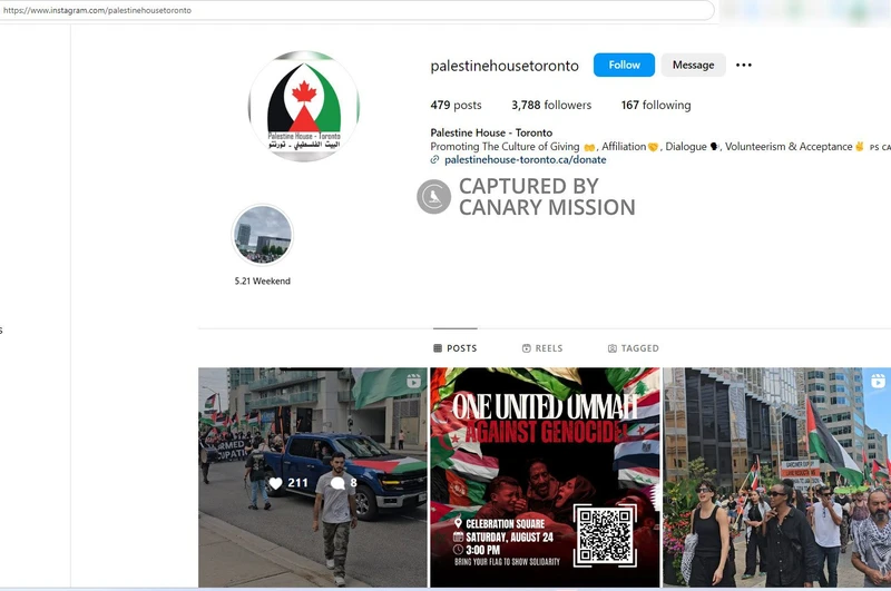 Amin El-Maoued cm16 Instragram_#16