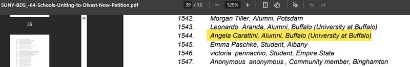 Angela_Carattini__jan_15_2024_amchainitiative.org.png _#1