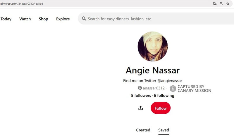 Angie Nassar cm16 Pinterest_#16