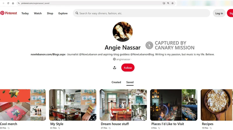 Angie Nassar cm17 Pinterest_#17