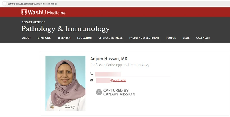 Anjum Hassan_#8