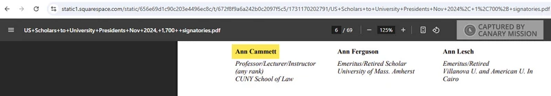 Ann_Cammett_Nov_2024_static1.squarespace.com_1.jpg _#1