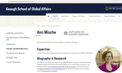 Ann Mische