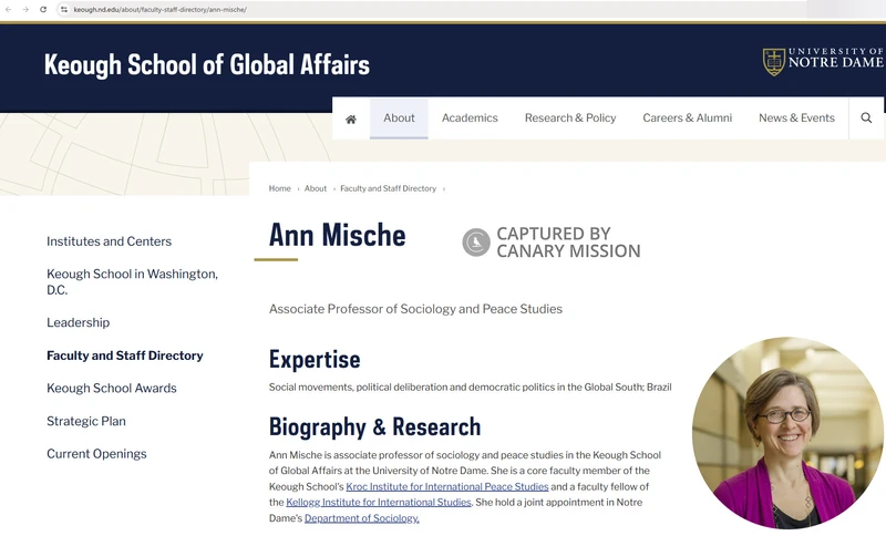 Ann Mische_#9