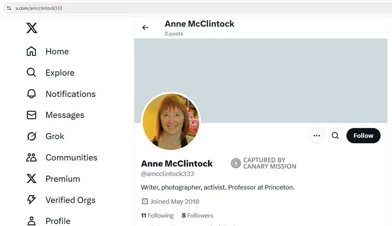 Anne McClintock_#11