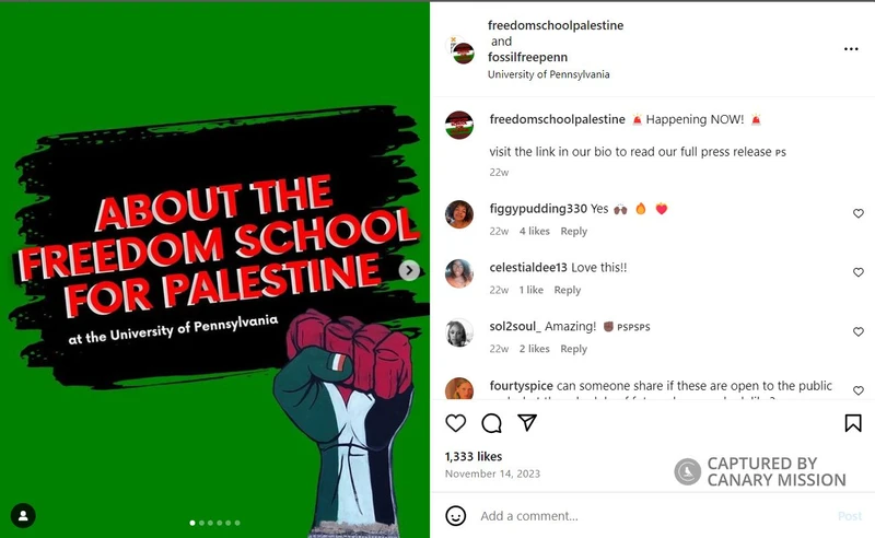 Anne Norton cm14 Instagram_#19