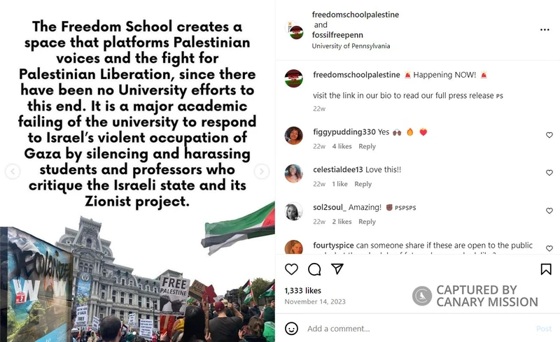 Anne Norton cm15 Instagram_#20