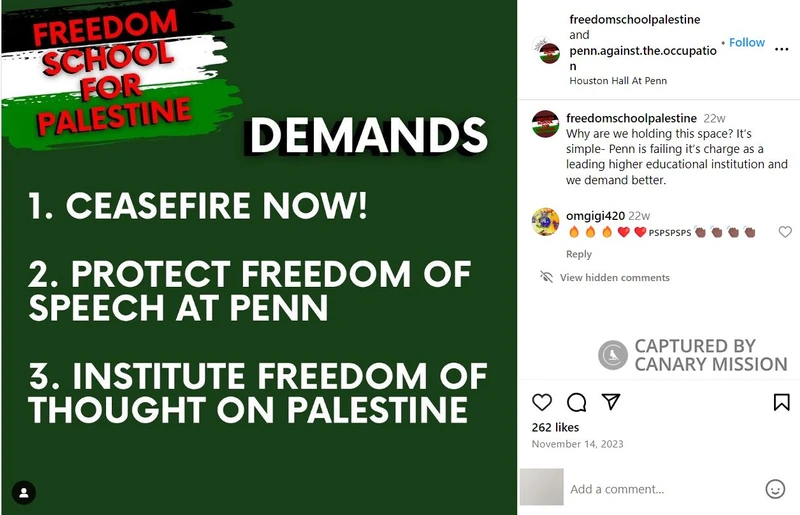 Anne Norton cm16 Instagram_#21