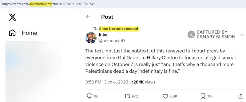 Anne Norton cm22 Twitter_#27