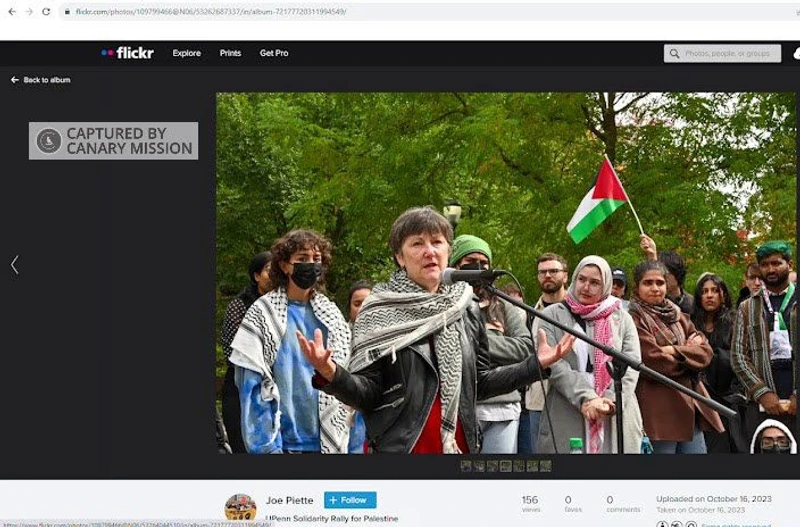 Anne Norton cm23 flickr.com_#30