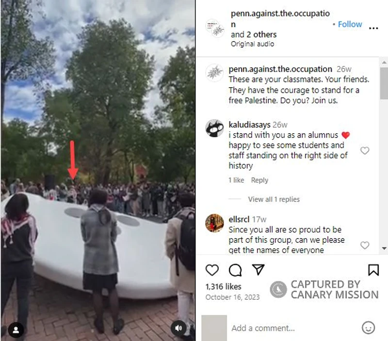 Anne Norton cm24 Instagram_#31