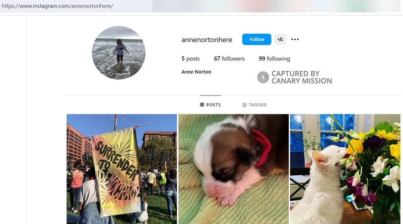 Anne Norton cm35 Instagram_#42