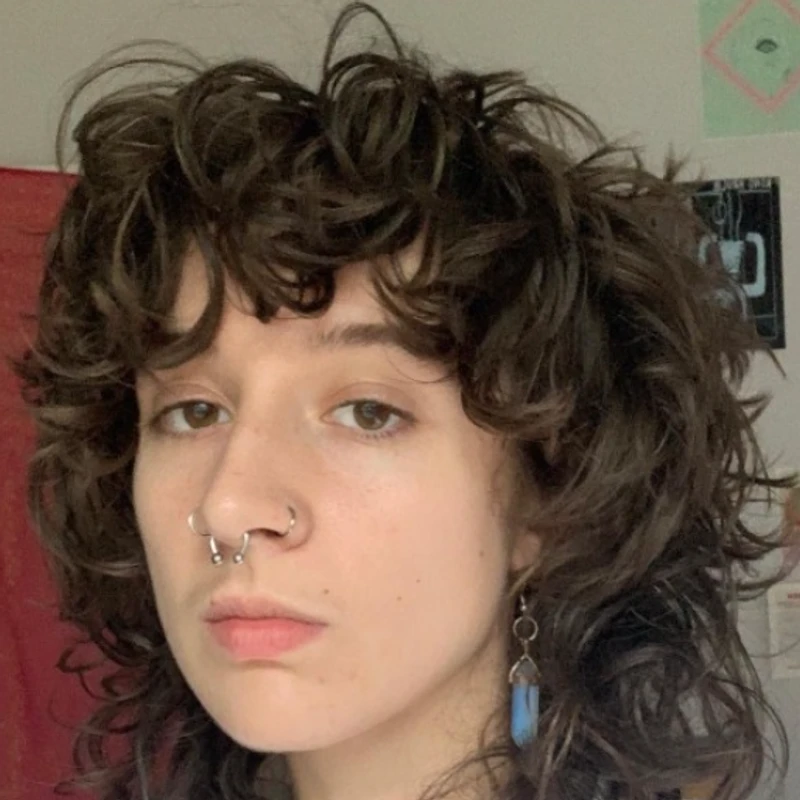 Ash Hoffman Canary Mission