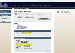 Astrid_Terrazas_Feb_10_2025_iapps.courts.state.ny.us.jpg