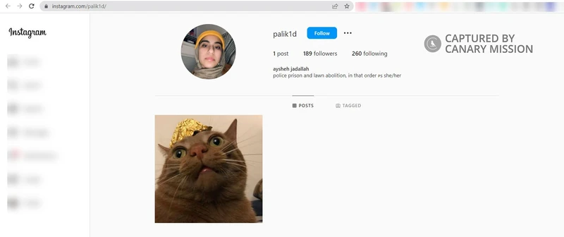 Aysheh Jadallah cm29 Instagram_#21