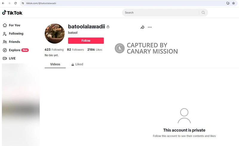 Batool Alawadi cm17 TikTok_#17