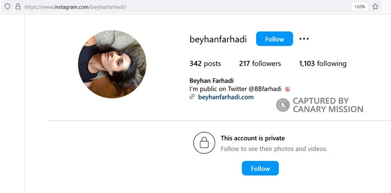 Beyhan Farhadi_#8