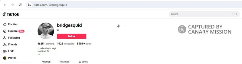 Bridget Squitire cm10 TikTok_#10