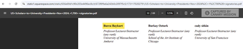 Burcu_Baykurt_Nov_2024_static1.squarespace.com_1.jpg _#1