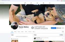 Buster Scheuer