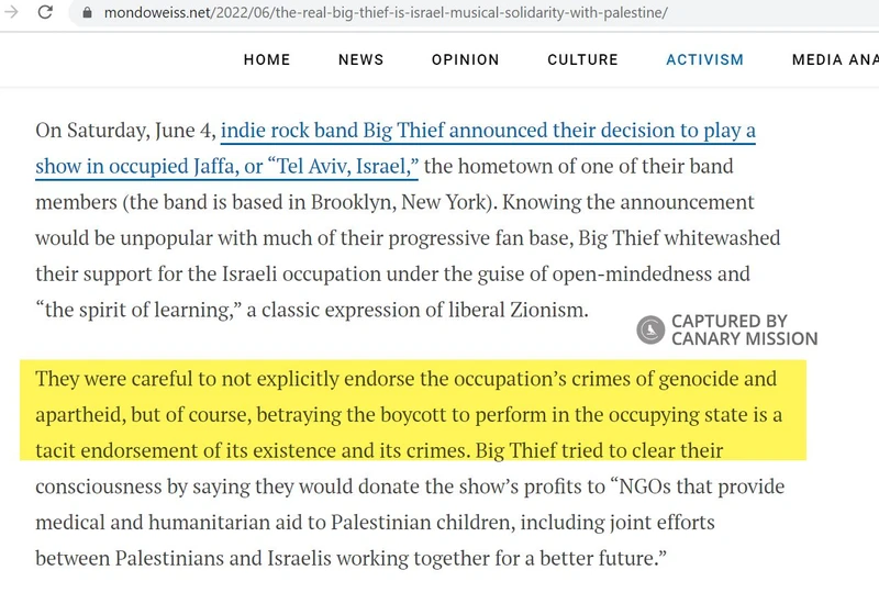 Calla Walsh cm40b mondoweiss.net_#64