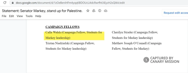 Calla_Walsh_cm49f_docs.google.com_May_2021_1FSAYs.jpg_#81