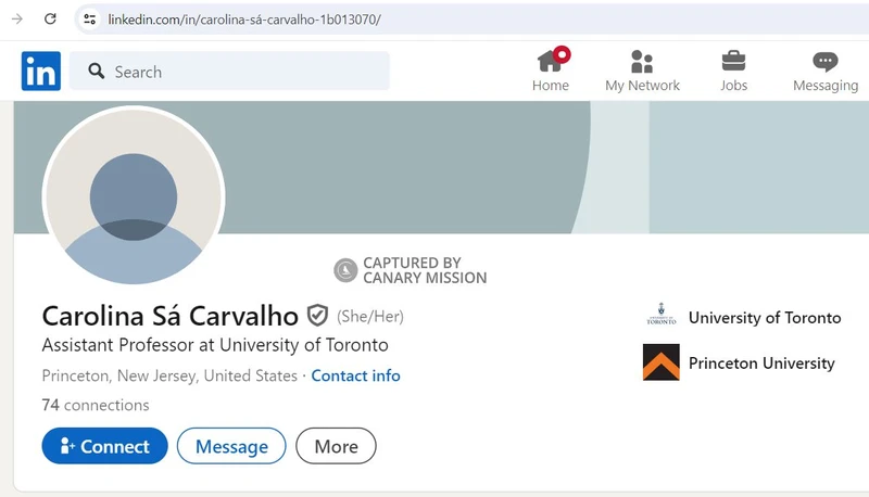 Carolina Sa Carvalho cm12 LinkedIn_#13