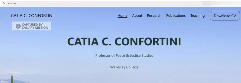 Catia Cecilia Confortini_#12