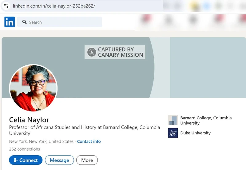 Celia Naylor cm06 LinkedIn_#7
