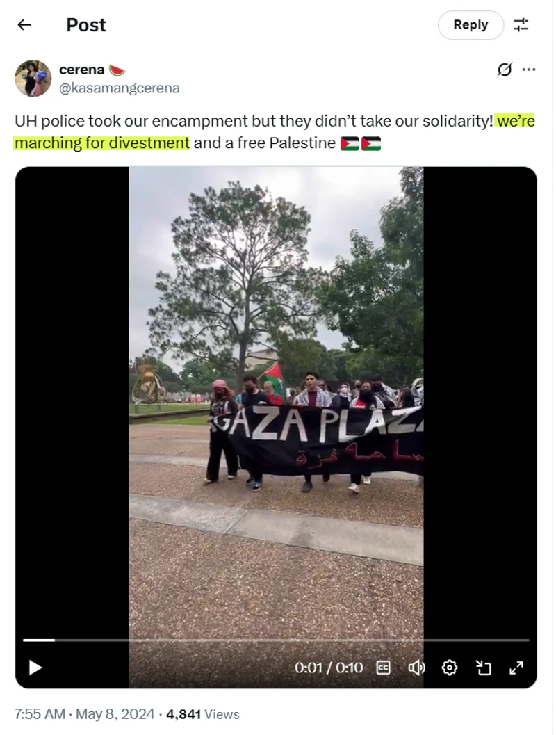 Cerena Ermitanio_#24